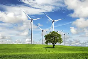 Deserted Windmill Imprime: Ecological priority