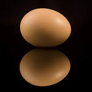 Still Life Cuisine Imprime: Egg