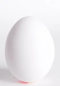 Egg Nutrition Imprime: Egg