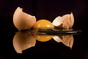 Balanced Diet Ingredients Imprime: Egg