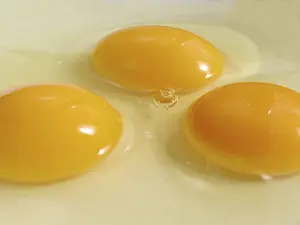 Egg Recipes Imprime: Three eggs