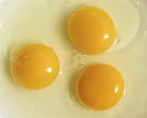 Horizontal Format Imprime: Three eggs