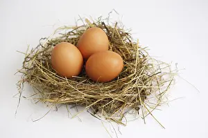 Still Life Food Imprime: Three eggs in a nest: Easter