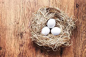 Nesting Site Imprime: Eggs in a nest, easter composition