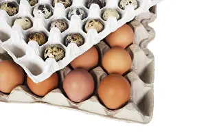 White Background Packaging Imprime: Eggs in the package on a white background