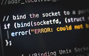 Data Security Breach Imprime: Error, bug, syntax, source code