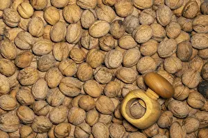Empty Wooden Table Setting Imprime: Evenly distributed walnuts spread out to fill the format with a wooden nutcracker as a background