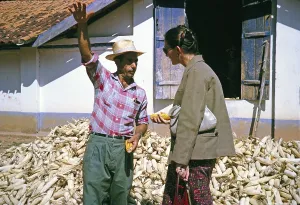 Rural Farm Life Imprime: Farmer growing sweetcorn explains to a visitor