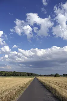 Deserted Country Lane Imprime: Feldweg