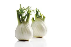 Food Photography Studio Background Imprime: Fennel