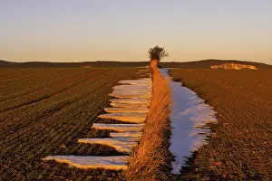 Winter Agricultural Scene Imprime: Fields in the evening light, St