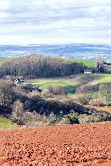 Devon Landscape Photography Imprime: Fields and Farmlands over Devon
