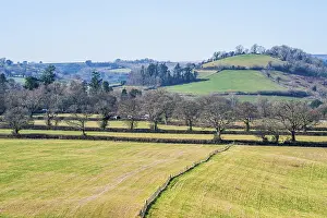 British Countryside Imprime: Fields and Farmlands over Devon