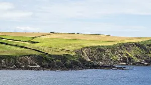 Mothecombe Beach Imprime: Fields and Farms Cliffs over cliffs