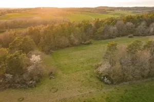 Evening Sun In The Black Forest Imprime: Fields and forests in soft sunset light