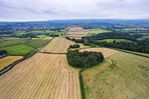 Northern Europe Farming Imprime: Fields and Meadows over Torbay