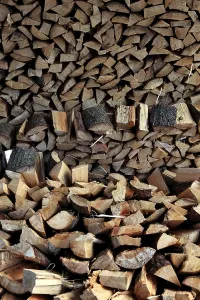 Green Energy Technology Imprime: Firewood, logs, split