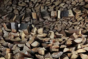 Green Energy Technology Imprime: Firewood, logs, split