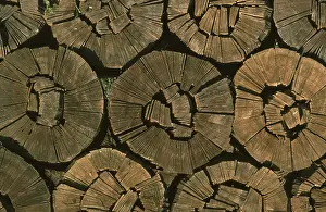 Green Energy Technology Imprime: Firewood, split logs