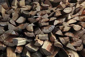 Split Firewood Imprime: Firewood, split logs