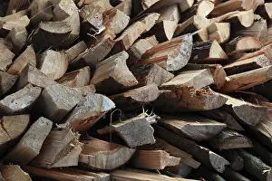 Firewood Logs Imprime: Firewood, split logs