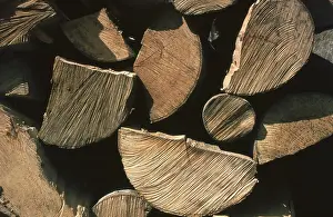 Natural Resource Wood Imprime: Firewood, split logs