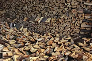 Biomass Energy Technology Imprime: Firewood, split logs