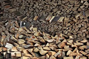 Firewood Logs Imprime: Firewood, split logs