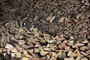 Split Logs Imprime: Firewood, split logs