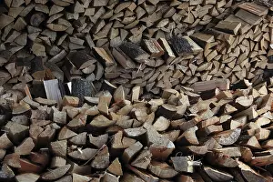 Deserted Wooden Structure Imprime: Firewood, split logs