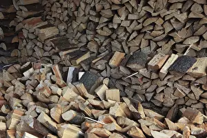 Wood Structure Pattern Imprime: Firewood, split logs