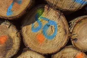 Firewood Stack Imprime: Firewood Stack with Colored Markers