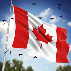 Computer Generated Image Imprime: Flag of Canada, This is a computer generated and 3d rendered image