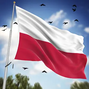 Eastern European Flags Imprime: Flag of Poland, This is a computer generated and 3d rendered image