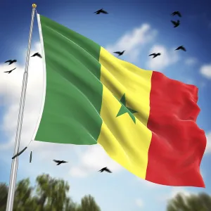Senegal Imprime: Bandera de Senegal, esta es una imagen generada por computadora y renderizada en 3D.