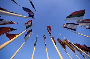 Colorful Flags Imprime: Flags