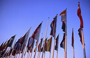 Colorful Flags Imprime: Flags