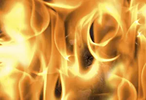 Firewood Burning Imprime: Flames
