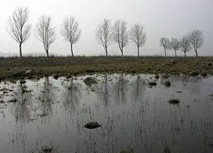 Misty Mood Landscape Imprime: In the fog