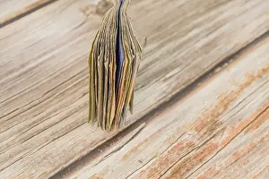 Imágenes con fecha de 26 de mayo de 2024: Un montón de billetes de dinero doblado sobre una mesa de madera.