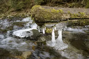 Frozen Landscape Photography Imprime: Forms and structures of ice on water