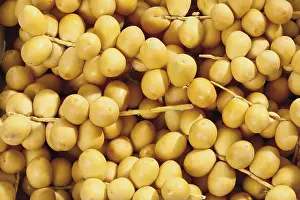 Studio Shot Of Dates Imprime: Fresh dates