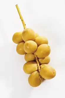 Fresh Dates Imprime: Fresh dates