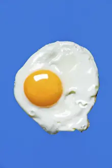 Fried Egg Nutrition Imprime: Fried egg