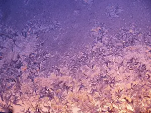 Czech Republic Winter Scenes Imprime: Frost patterns