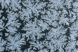 Ice Crystal Formations Imprime: Frostwork on window