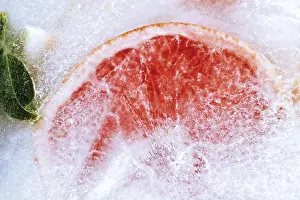 Colorful Citrus Fruits Imprime: Frozen Ruby Grapefruit