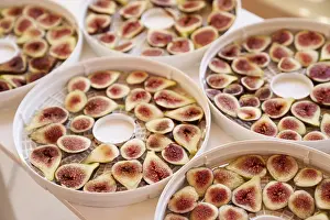 Exotic Fruit Nutrition Imprime: Fruit drying process on plates. Close up