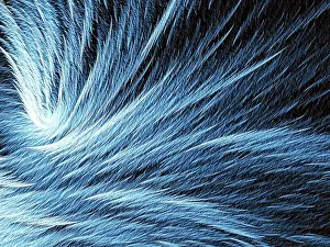Fractal Texture Imprime: Fur or feather texture - abstract computer-generated image