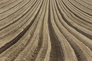Field Work Photography Imprime: Furrows